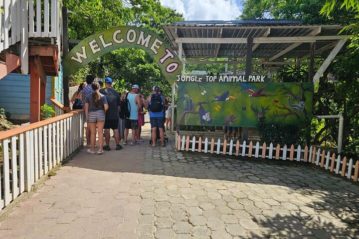 Roatán Horseback, Wildlife & Snorkel Combo — West Bay Reef & Sanctuary Adventure photo 4
