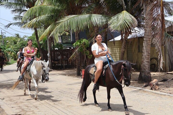 Roatán Horseback, Wildlife & Snorkel Combo — West Bay Reef & Sanctuary Adventure photo 1