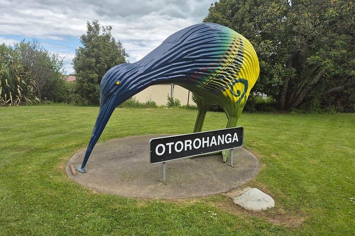 Waitomo to Otorohanga E-Bike Ride: Caves, Farmland & Kiwi Encounters
