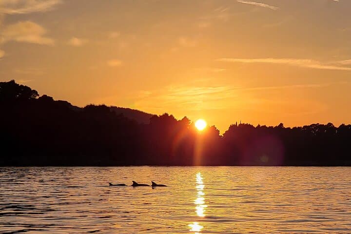 Dubrovnik Romantic Sunset Speedboat Tour from Gruž Port photo 2