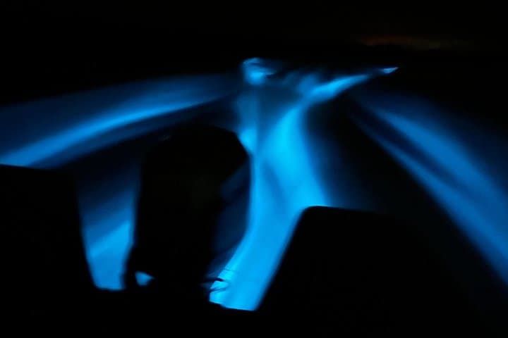 Hopkins Bioluminescence Tour: Sunset River Cruise to Anderson Lagoon