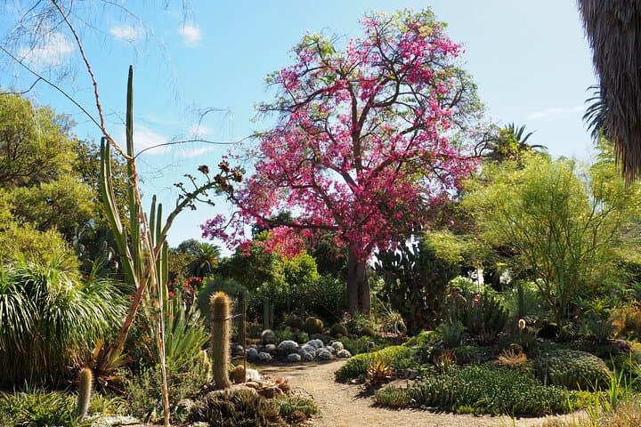 Explore Ruth Bancroft Garden: Walnut Creek Succulent & Cactus Garden Admission