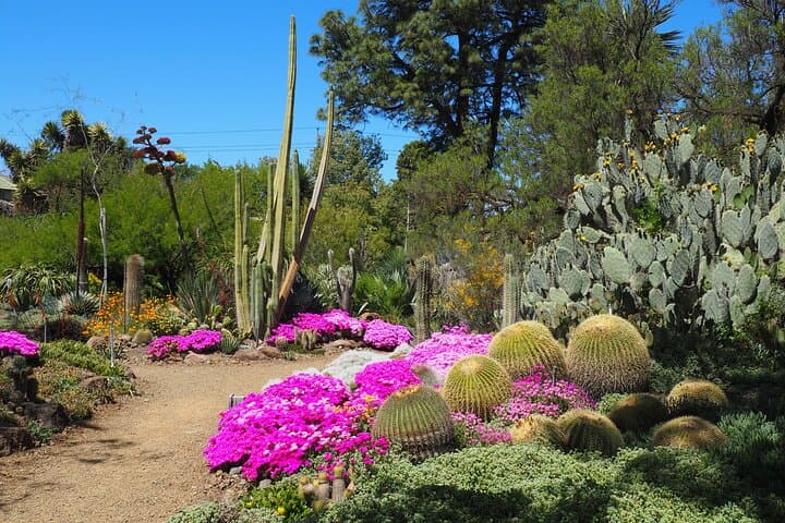 Explore Ruth Bancroft Garden: Walnut Creek Succulent & Cactus Garden Admission photo 2