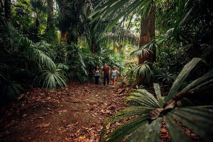 Gamboa Mono Island Wildlife Cruise & Jungle Walk photo 3