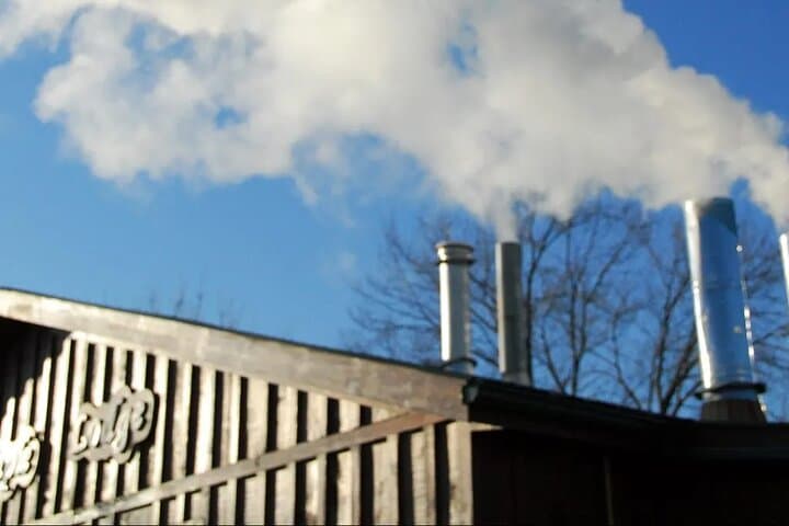 Niagara Wine and Maple Syrup Tasting Tour — Vineyard, Icewine & Sugar Bush photo 5