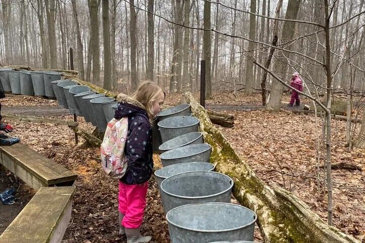 Niagara Wine and Maple Syrup Tasting Tour — Vineyard, Icewine & Sugar Bush photo 6