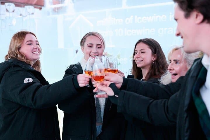Niagara Wine and Maple Syrup Tasting Tour — Vineyard, Icewine & Sugar Bush photo 2