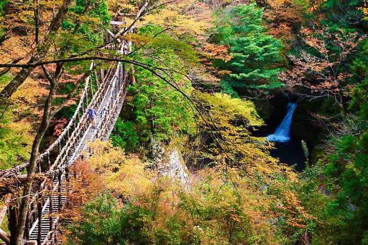 Private Iya Valley Half-Day Tour: Oku-Iya Vine Bridges, Scarecrow Village & Ochiai Observatory