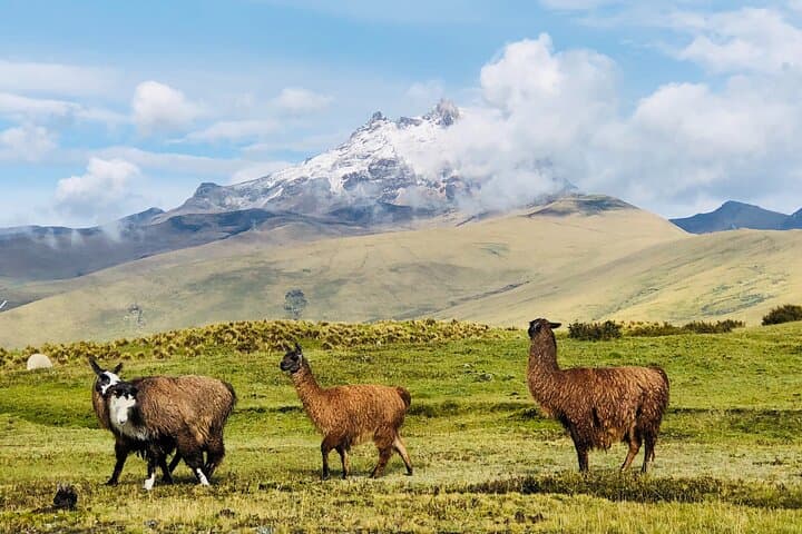 Full-Day Cotopaxi Volcano from Quito — Hike to José Rivas Refuge photo 5