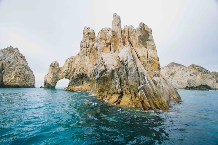 Private Humpback Whale Watching Tour from La Paz with Marine Biologist photo 3