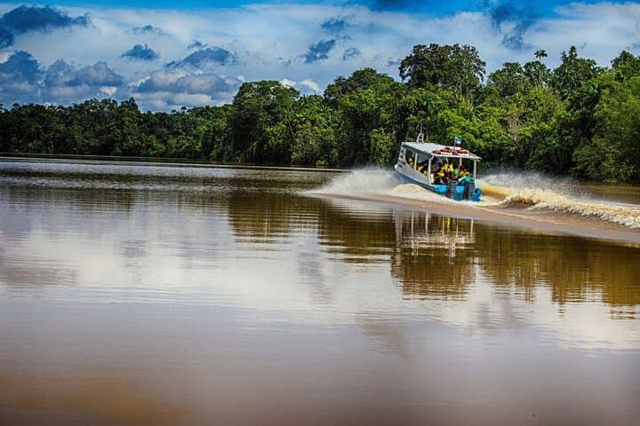 Kinabatangan River Wildlife Cruise: 2-Day Rainforest Safari from Sandakan