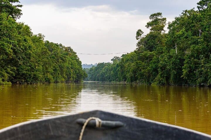 Kinabatangan River Wildlife Cruise: 3-Day River Safari from Sandakan photo 3