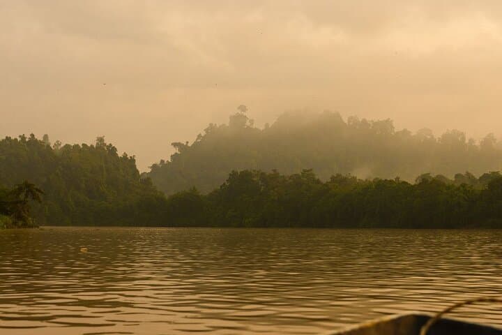 Kinabatangan River Wildlife Cruise: 2-Day Rainforest Safari from Sandakan photo 4