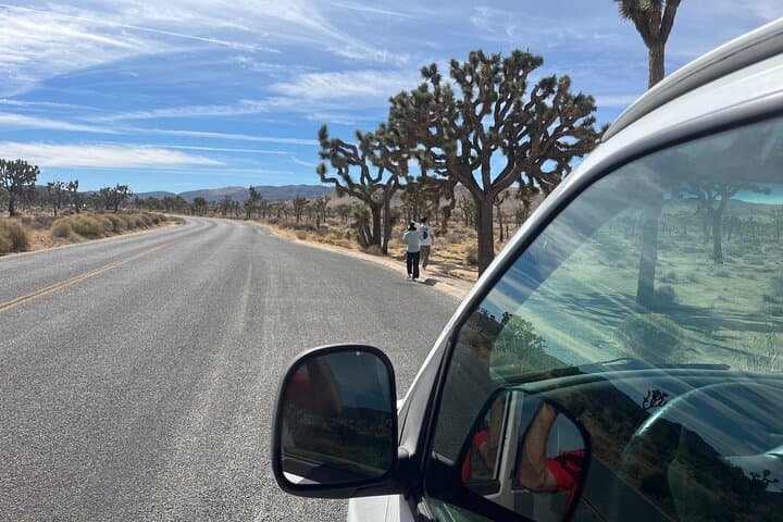 Joshua Tree Private Sightseeing Tour: Hidden Valley, Keys View & Cap Rock
