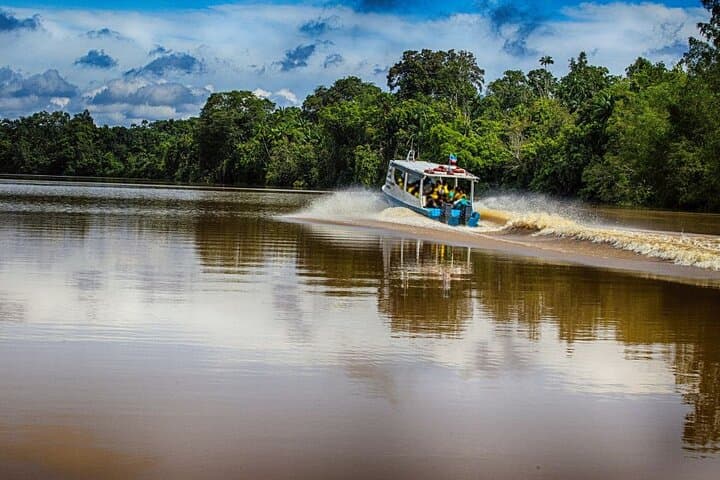 Kinabatangan River Wildlife Cruise: 3-Day River Safari from Sandakan photo 2