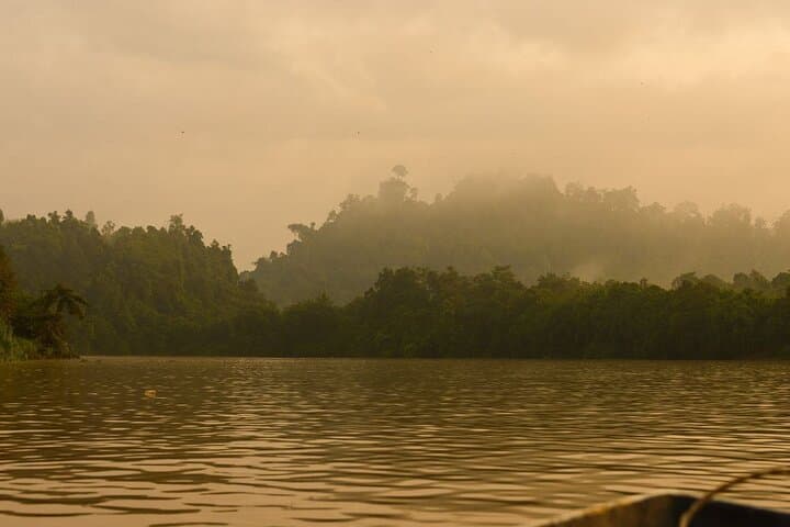 Kinabatangan River Wildlife Cruise: 3-Day River Safari from Sandakan photo 4
