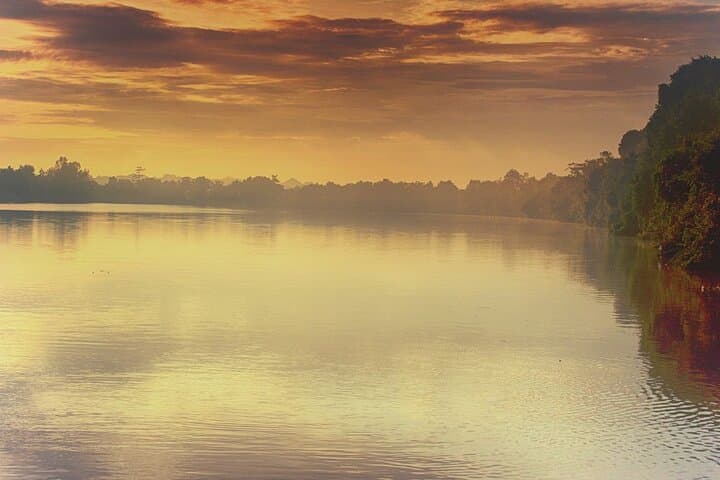 Kinabatangan River Wildlife Cruise: 3-Day River Safari from Sandakan photo 5