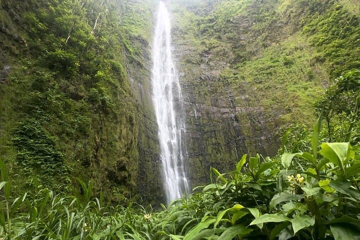 Private Pipiwai Trail Open-Air Jeep Tour — Road to Hana, Bamboo Grove & Waimoku Falls photo 2