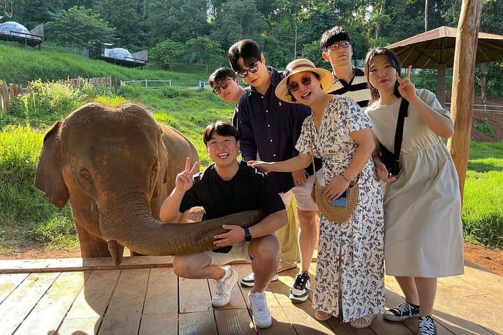 Mon Jam to Elefin Café & Cypress Lane: Chiang Mai Mountain Café, Elephant Feeding & Photo Walk photo 4