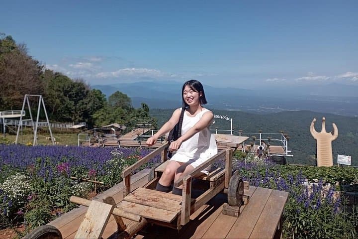 Mon Jam to Elefin Café & Cypress Lane: Chiang Mai Mountain Café, Elephant Feeding & Photo Walk photo 2