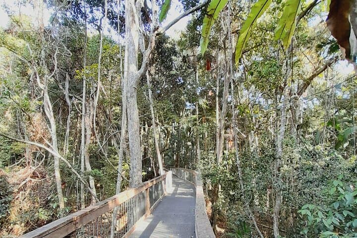 Private 4-Day Sydney to Port Macquarie Coastal Escape photo 3