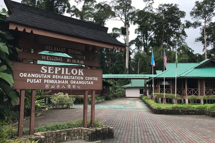 Sandakan to Kinabatangan River Wildlife Safari: 2-Day Sepilok & Bilit Lodge Adventure photo 6