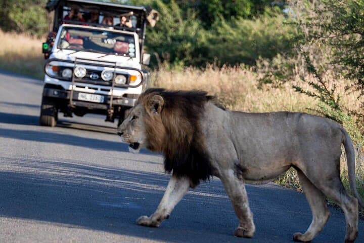 Hluhluwe Big Five Safari from Richards Bay — Full-Day Big Five Game Drive photo 2