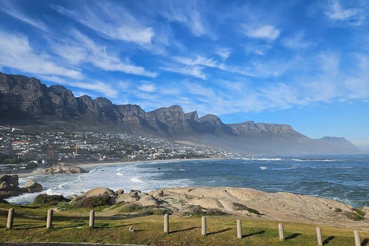Cape Peninsula Full-Day Private Tour to Cape Point & Boulders Beach photo 5