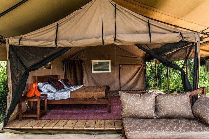 Chase the Great Migration: 8-Day Mid-Range Serengeti Wildebeest Migration Safari photo 3