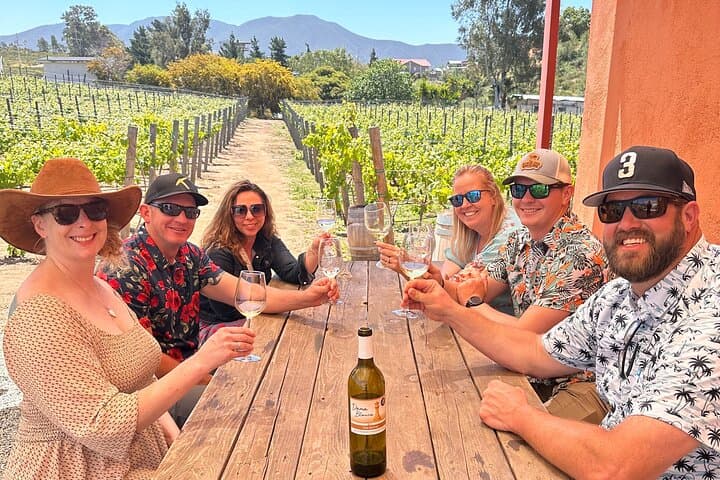 Private Ensenada Tacos and Wine Tour: Fish Tacos, Ceviche & Valle de Guadalupe Wines photo 2