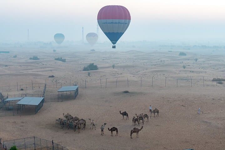 Sunrise Private Hot Air Balloon Over Dubai Desert — 4000ft Wildlife Flight photo 3