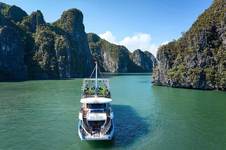 5-Star Sea Lion Day Cruise to Halong Bay from Hanoi — Buffet, Kayaking & Ti Top photo 4