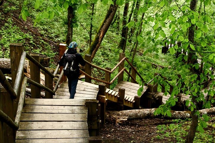 5-Day Self-Guided Forest Trail Hike in Gauja National Park, Latvia photo 5