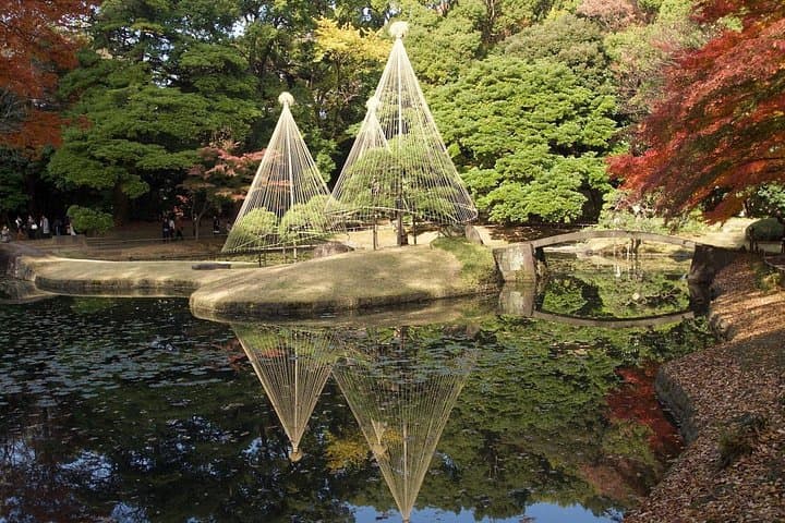 Tokyo Autumn Leaves: Best Gardens, Ginkgo Avenues & Night Illuminations photo 3