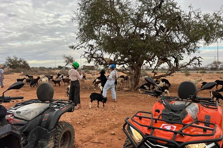 Agafay Desert Quad Bike Half-Day: Tea with a Nomad and Shuttle from Marrakech photo 5