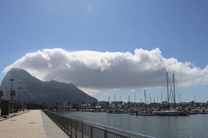Explore the Rock: Guided Gibraltar Day Tour from the Costa del Sol photo 6