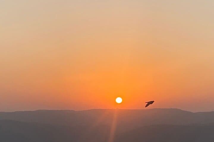 Kumbhalgarh Electric Cycle Tour: E-Bike Adventure Through the Aravallis photo 4