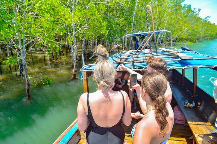 Half-Day Sea Cave Kayaking in Koh Lanta: Talabeng Cave, Mangroves & Monkey Point photo 4