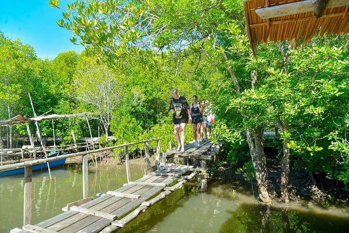 Koh Lanta Mangrove and Monkey Point Longtail Boat Tour photo 2
