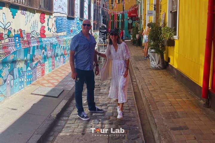 Valparaíso Wine & Culture Day: Art Walks, Coastal Views and 5 Premium Tastes photo 6