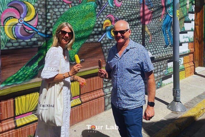Valparaíso Wine & Culture Day: Art Walks, Coastal Views and 5 Premium Tastes photo 4