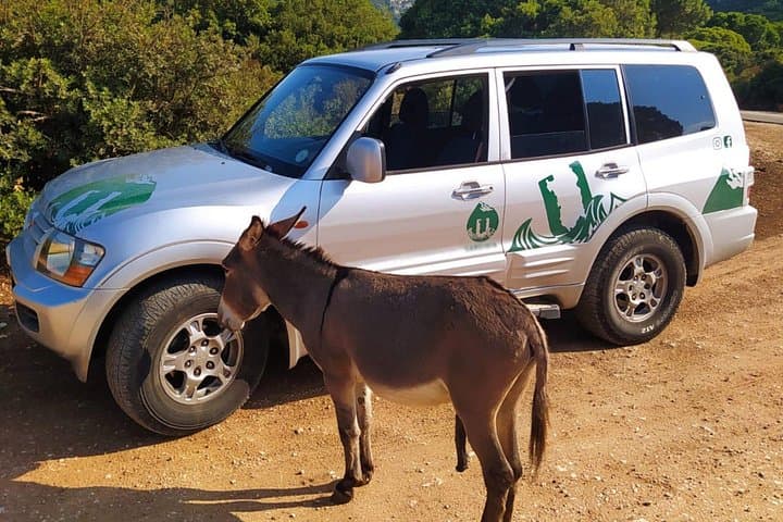 Golgo Plateau Jeep Tour from Arbatax — Off‑Road Sardinia Adventure photo 2