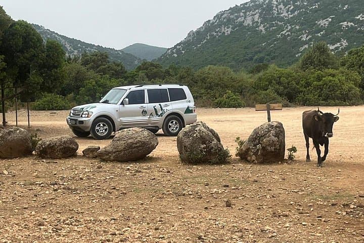 Golgo Plateau Jeep Tour from Arbatax — Off‑Road Sardinia Adventure photo 4