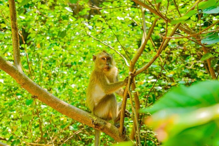 Koh Lanta Private Longtail Boat Fishing: Mangroves, Cliffs & Hidden Beaches photo 5