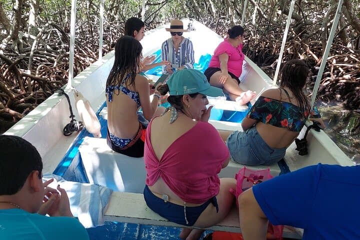 Roatan Eastern Odyssey: ATV, Mangrove Tunnel Cayuco Tour & Beach Escape photo 3