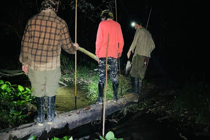 2-Day Jungle Camping Express from Iquitos: Dolphins, Monkeys & Night Safaris photo 3