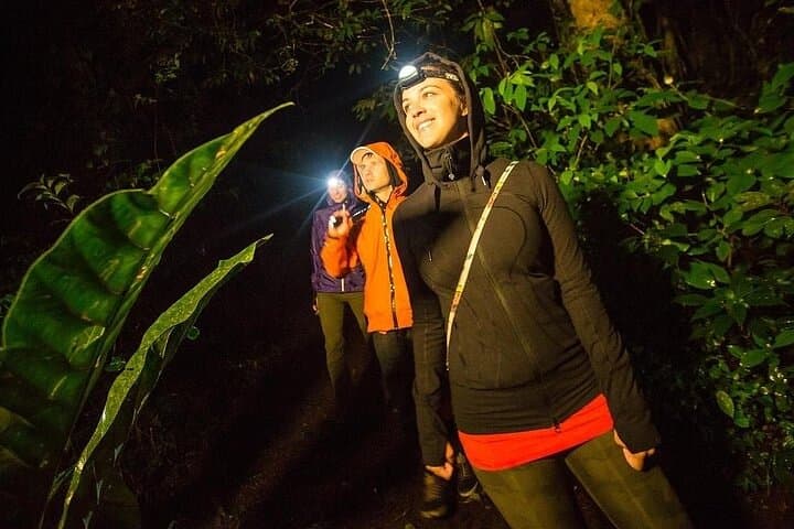 2-Day Jungle Camping Express from Iquitos: Dolphins, Monkeys & Night Safaris