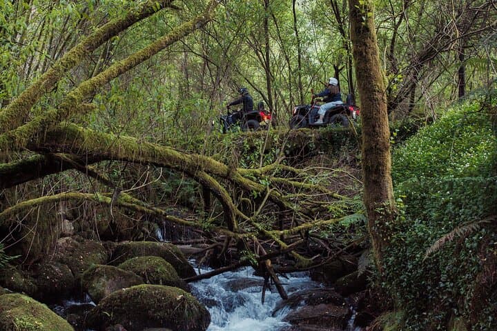 ATV Quad Tour in Peneda-Gerês: 1-Hour Adventure from Arcos de Valdevez photo 4