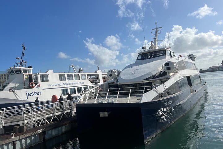 Robben Island Tour with Former Prisoner Guide: Cape Town Historical Ferry Experience photo 2