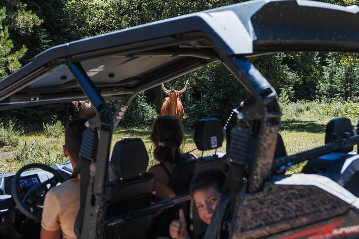 Peneda-Gerês 4-Hour Buggy Tour from Arcos de Valdevez — Off-Road to 830m photo 6